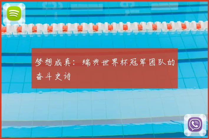 梦想成真：瑞典世界杯冠军团队的奋斗史诗