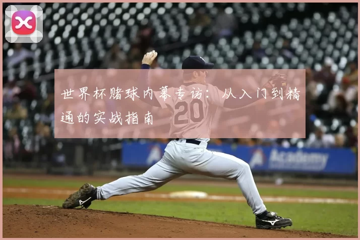 世界杯赌球内幕专访:从入门到精通的实战指南