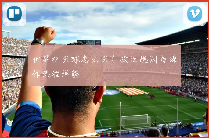 世界杯买球怎么买?投注规则与操作流程详解