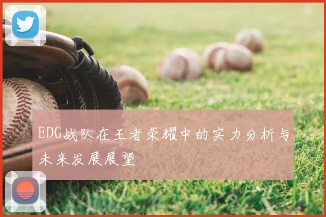 EDG战队在王者荣耀中的实力分析与未来发展展望