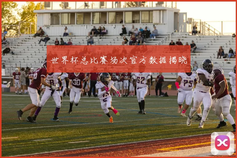 世界杯总比赛场次官方数据揭晓