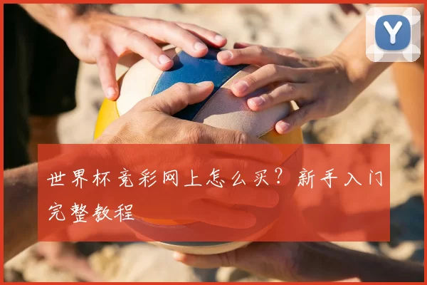 世界杯竞彩网上怎么买？新手入门完整教程