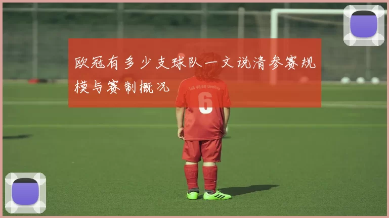 欧冠有多少支球队一文说清参赛规模与赛制概况