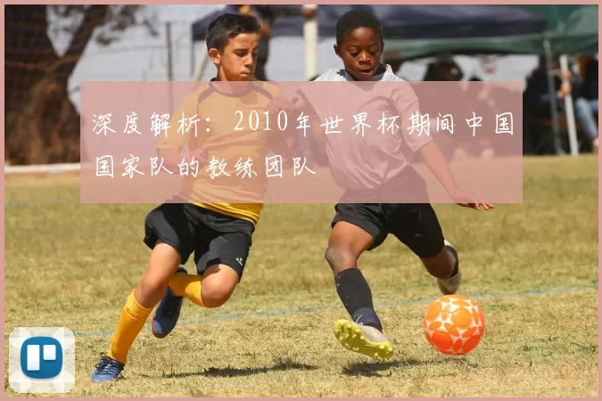 深度解析：2010年世界杯期间中国国家队的教练团队