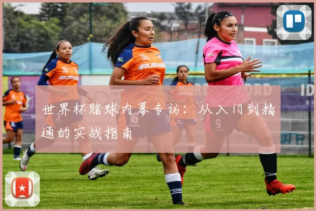 世界杯赌球内幕专访:从入门到精通的实战指南