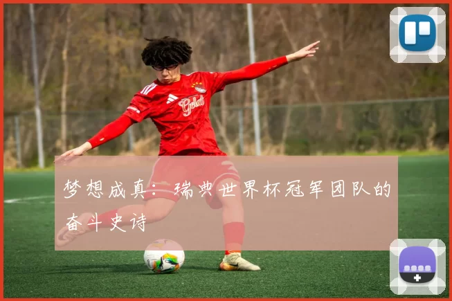 梦想成真:瑞典世界杯冠军团队的奋斗史诗